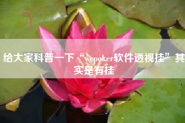 给大家科普一下“wepoker软件透视挂”其实是有挂