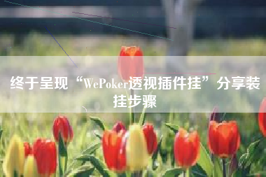 终于呈现“WePoker透视插件挂	”分享装挂步骤