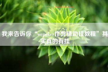 我来告诉你“wepoker作弊辅助挂教程	”其实真的有挂