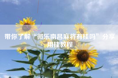 带你了解“微乐南昌麻将有挂吗”分享用挂教程