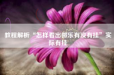 教程解析“怎样看出微乐有没有挂	”实际有挂