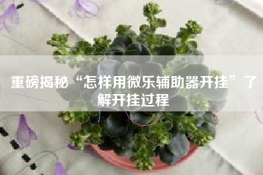 重磅揭秘“怎样用微乐辅助器开挂”了解开挂过程