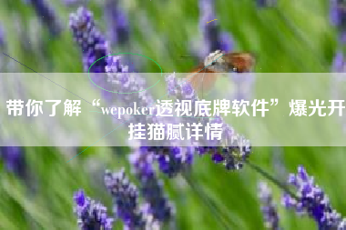 带你了解“wepoker透视底牌软件	”爆光开挂猫腻详情