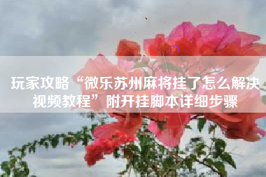 玩家攻略“微乐苏州麻将挂了怎么解决视频教程”附开挂脚本详细步骤