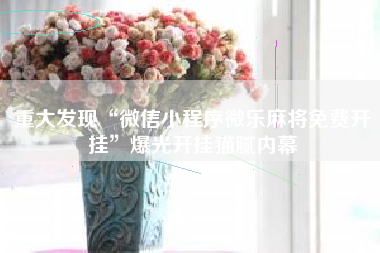 重大发现“微信小程序微乐麻将免费开挂	”爆光开挂猫腻内幕