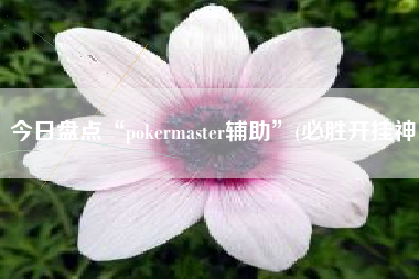 今日盘点“pokermaster辅助”(必胜开挂神