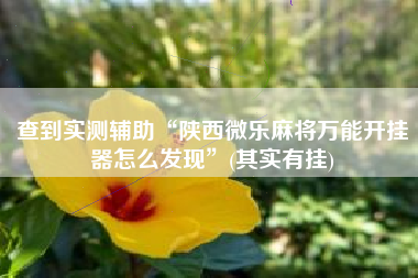 查到实测辅助“陕西微乐麻将万能开挂器怎么发现”(其实有挂)