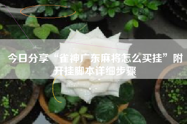 今日分享“雀神广东麻将怎么买挂	”附开挂脚本详细步骤