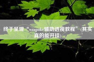 终于呈现“waapoke辅助透视教程”(其实真的能开挂)