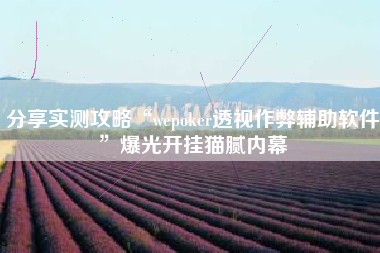 分享实测攻略“wepoker透视作弊辅助软件”爆光开挂猫腻内幕