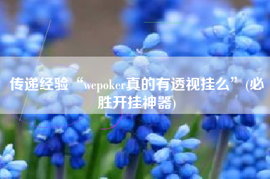 传递经验“wepoker真的有透视挂么”(必胜开挂神器)