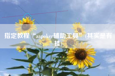 指定教程“aapoker辅助工具	”(其实是有挂)