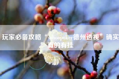 玩家必备攻略“sohoopoker德州透视”确实真的有挂