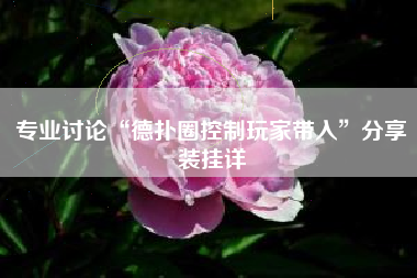 专业讨论“德扑圈控制玩家带入”分享装挂详