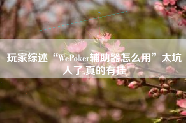 玩家综述“WePoker辅助器怎么用”太坑人了,真的有挂