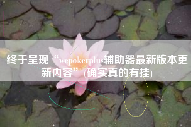 终于呈现“wepokerplus辅助器最新版本更新内容”(确实真的有挂)