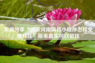 实测分享“微乐河南麻将小程序怎样免费开挂”原来真实可以装挂