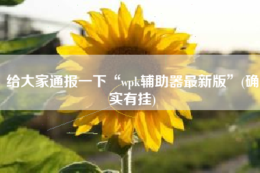 给大家通报一下“wpk辅助器最新版”(确实有挂)