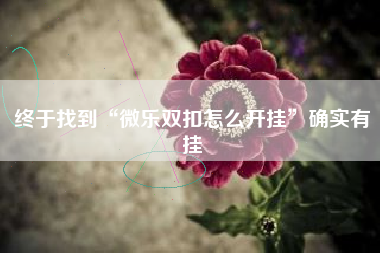 终于找到“微乐双扣怎么开挂	”确实有挂