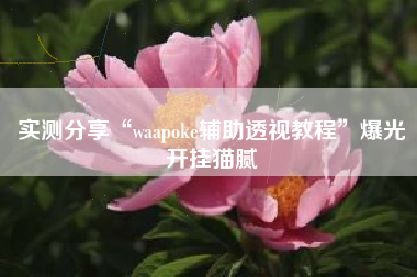 实测分享“waapoke辅助透视教程”爆光开挂猫腻