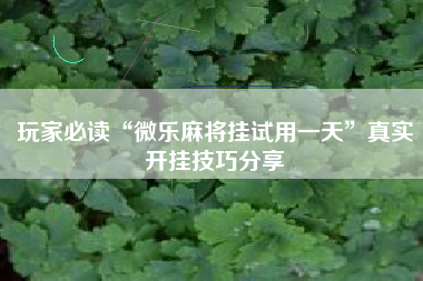 玩家必读“微乐麻将挂试用一天	”真实开挂技巧分享