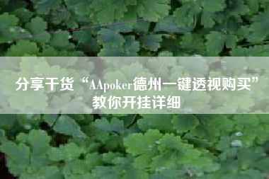 分享干货“AApoker德州一键透视购买”教你开挂详细