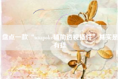 盘点一款“waapoke辅助透视插件”其实是有挂