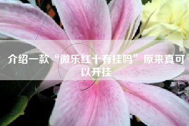 介绍一款“微乐红十有挂吗”原来真可以开挂