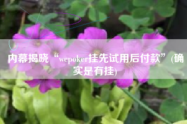 内幕揭晓“wepoker挂先试用后付款	”(确实是有挂)