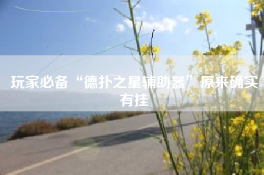 玩家必备“德扑之星辅助器	”原来确实有挂