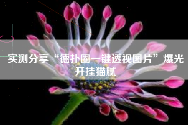 实测分享“德扑圈一键透视图片”爆光开挂猫腻