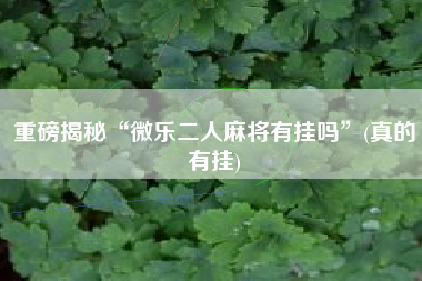 重磅揭秘“微乐二人麻将有挂吗	”(真的有挂)