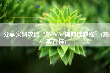 分享实测攻略“WePoker辅助挂教程	”(其实有挂)