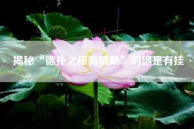揭秘“德扑之星有辅助	”的确是有挂