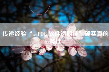 传递经验“wePOke软件透明挂”确实真的有挂