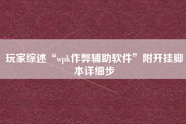 玩家综述“wpk作弊辅助软件	”附开挂脚本详细步