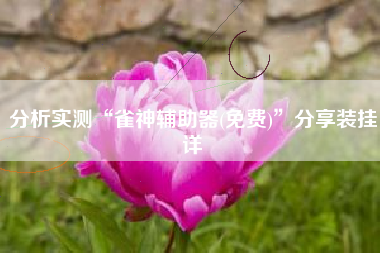 分析实测“雀神辅助器(免费)	”分享装挂详