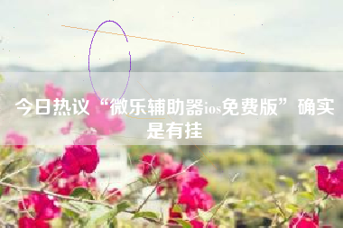 今日热议“微乐辅助器ios免费版	”确实是有挂