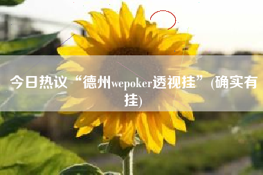 今日热议“德州wepoker透视挂”(确实有挂)