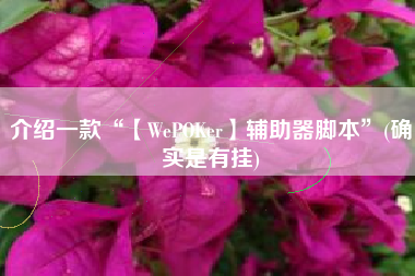 介绍一款“【WePOKer】辅助器脚本”(确实是有挂)