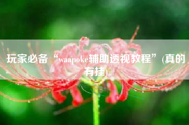 玩家必备“waapoke辅助透视教程”(真的有挂)