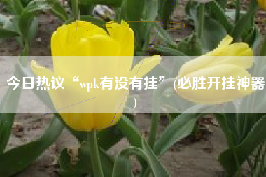 今日热议“wpk有没有挂”(必胜开挂神器)