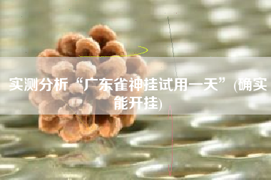 实测分析“广东雀神挂试用一天”(确实能开挂)