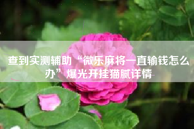 查到实测辅助“微乐麻将一直输钱怎么办	”爆光开挂猫腻详情