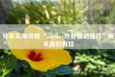分享实测攻略“aapoker外卦辅助插件	”原来真的有挂