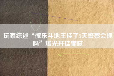 玩家综述“微乐斗地主挂了5天警察会抓吗”爆光开挂猫腻