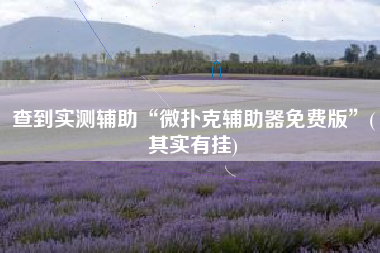 查到实测辅助“微扑克辅助器免费版	”(其实有挂)