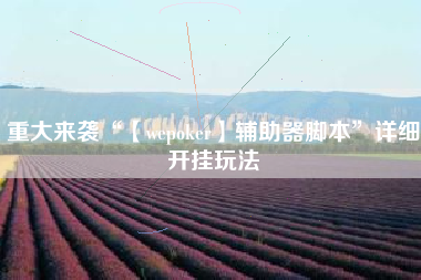 重大来袭“【wepoker】辅助器脚本”详细开挂玩法