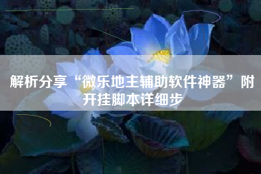 解析分享“微乐地主辅助软件神器”附开挂脚本详细步
