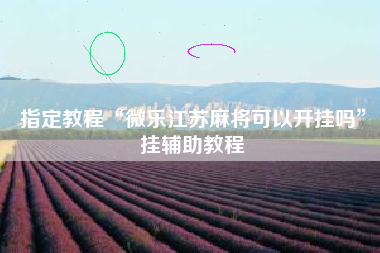 指定教程“微乐江苏麻将可以开挂吗”挂辅助教程